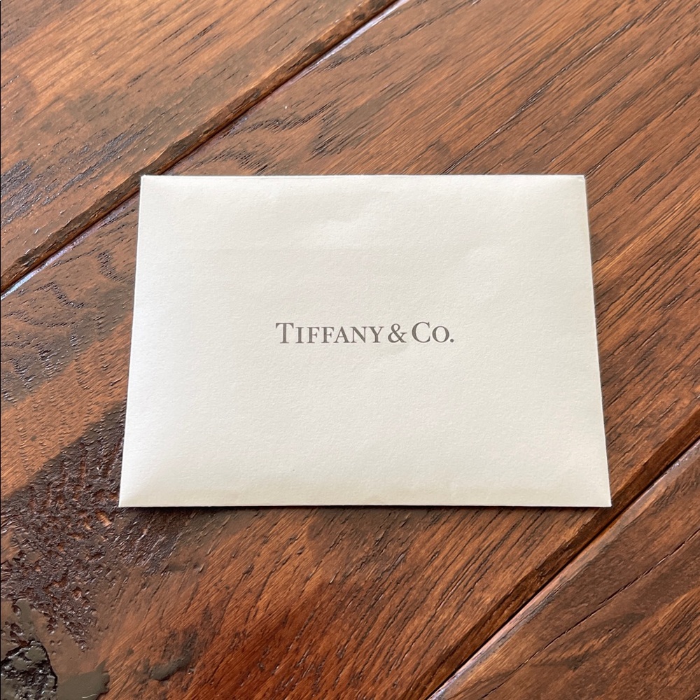 Tiffany Shopping Bag, Jewelry Bag, Blue Box & Envelope - NWT - Picture 11 of 11
